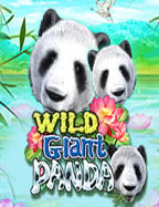 บทความยอดนิยมเดิมพันฟรี โปรแกรม random บาคาร่า สนุกคูณสอง!